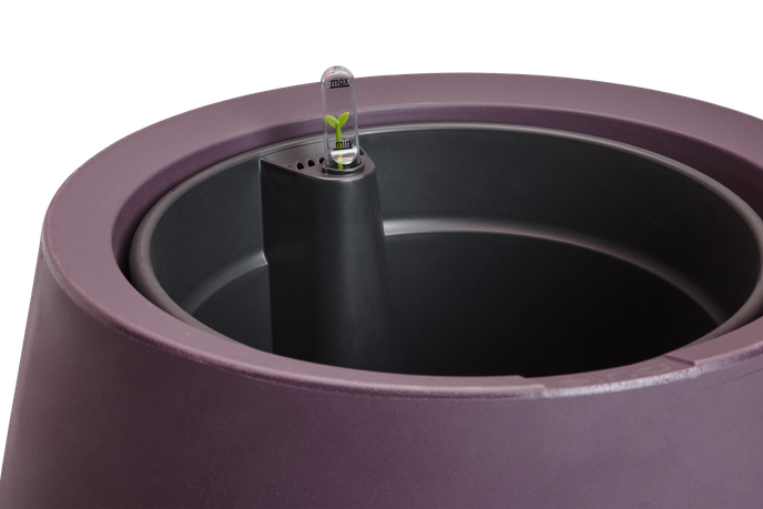 june split high 46cm vintage prune